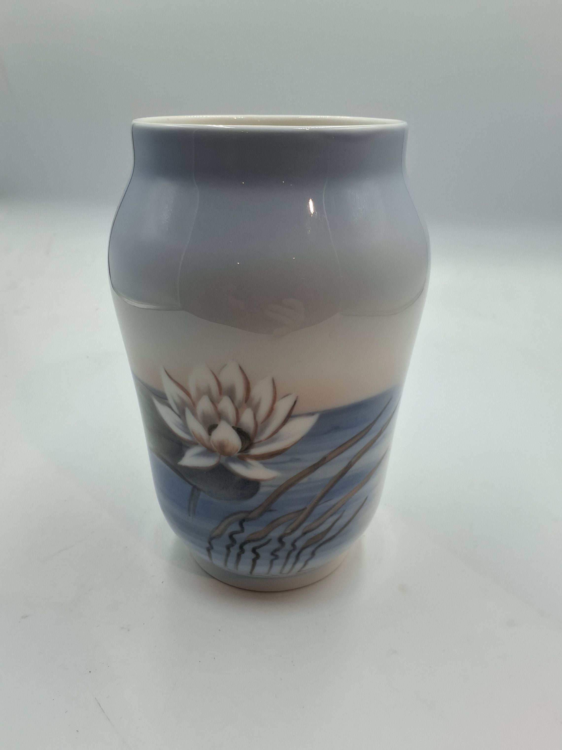 Royal C 2669 "Vase med Åkande" mærket 2K